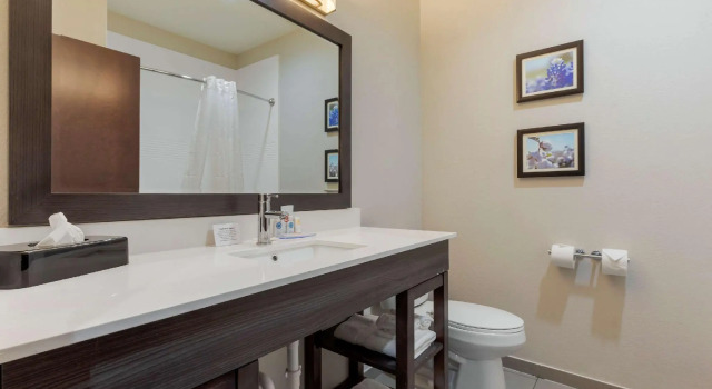 Четырёхместный люкс Comfort Inn & Suites Balch Springs - SE Dallas