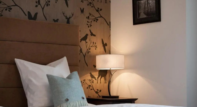 Двухместный номер Standard Hotel-Restaurant Bellevue