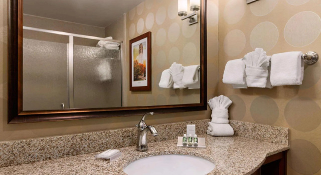 Двухместный номер Standard Hilton Garden Inn Ann Arbor