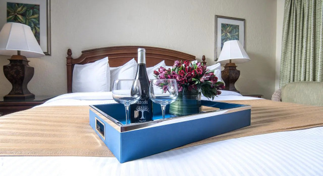 Номер Standard с видом на бассейн Hollander Hotel - Downtown St. Petersburg