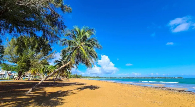 Апартаменты с 2 комнатами с балконом Coastal Puerto Rican Apartment - Walk to Beach!