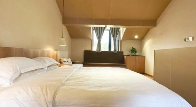 Suite Hemu Hotel