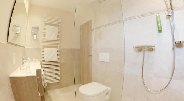 Трёхместный номер Comfort Hotel Die Gams