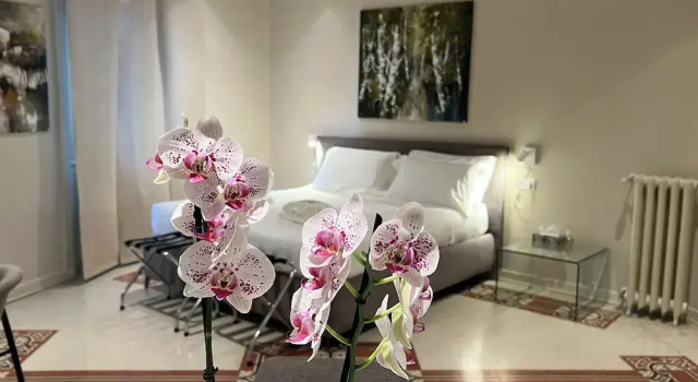 Люкс Comfort Foresteria Anguissola Rooms