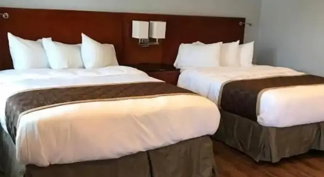 Четырёхместный номер Standard Rex Motel