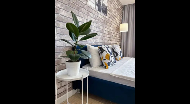 ZebraHome (ЗебраХоум) на Приморском бульваре, Забронировать Апартаменты/квартира Автозаводский район Тольятти, рядом с Фанни Парк