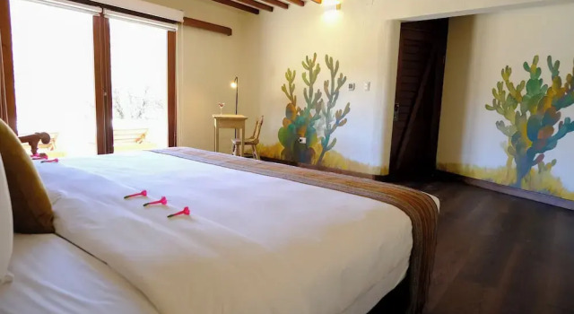 Люкс Superior Colca Lodge Spa & Hot Springs
