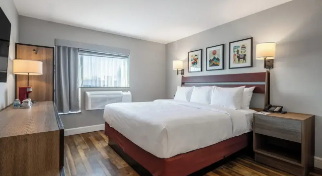 Номер Standard The Lodge Red Hook