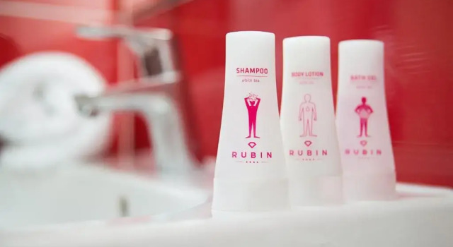 Двухместный номер Economy Rubin Wellness & Conference Hotel