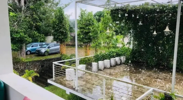 Villa Green Bamboo