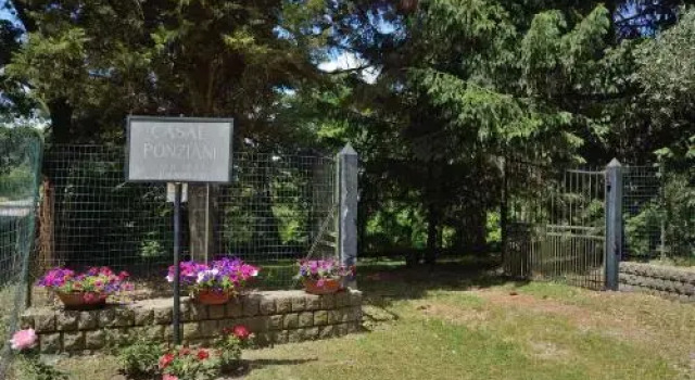 Casal Ponziani per Civita e Dintorni, Забронировать Апартаменты/квартира Апартаменты Лацио, Апартаменты/квартира