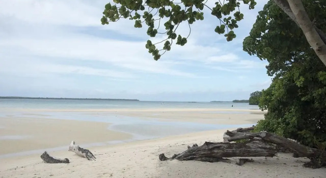 Mahi Mahi Beach Villas - Espiritu Santo