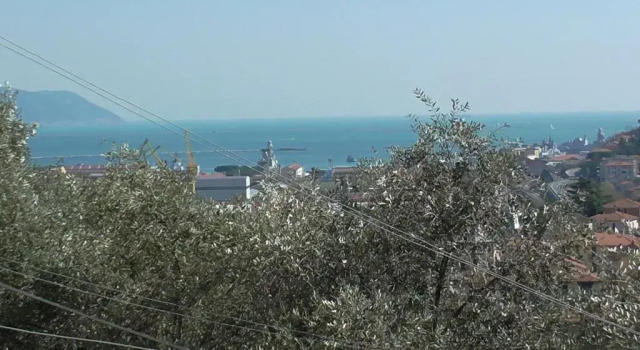 Il Golfo e i Limoni