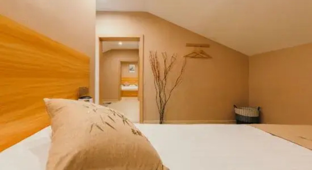 Люкс Business Sizhilian Homestay (Wuzhen Xizha Scenic Area)