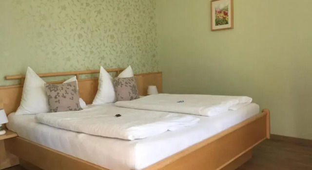 Номер Deluxe Pension Peterhof