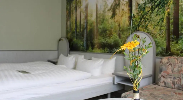 Camera doppia Standard Hotel Rennsteig