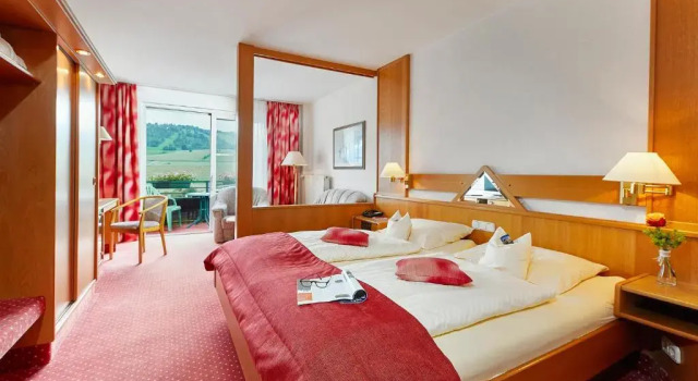 Двухместный номер Superior Sporthotel Zum Hohen Eimberg