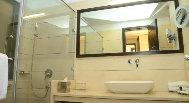 Двухместный номер Superior Radisson Chandigarh Zirakpur