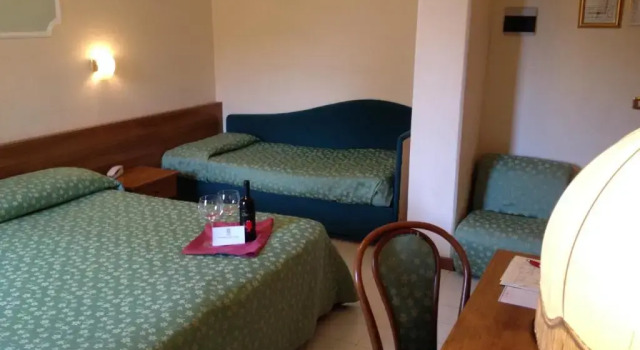 Номер Standard Hotel Park Ge.Al