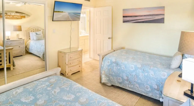 Loggerhead 282