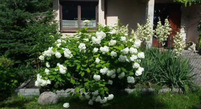 Apartament Leśna, Prenota Appartamento Gizycko 