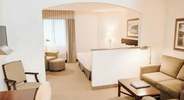 Люкс Business Ann Arbor Regent Hotel and Suites