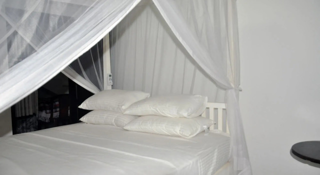 Dineth Villa