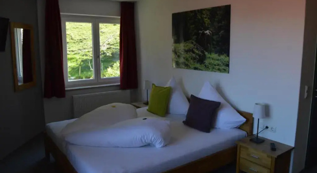 Двухместный номер Standard с балконом Grüner Hut - DEIN BERGHOTEL
