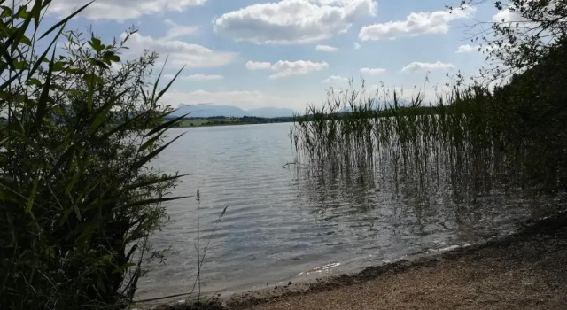 Коттедж Am See 90