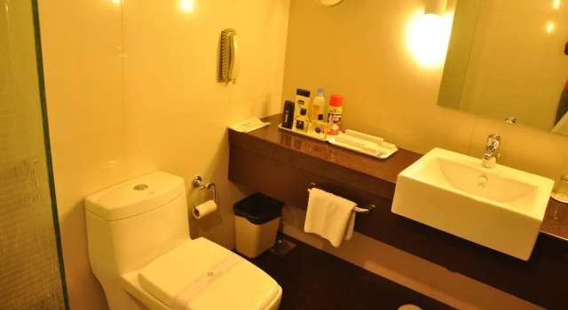 Номер Deluxe с видом на город Silver Palace Hotel