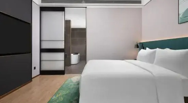 Люкс Hilton Garden Inn Leshan Shizhong