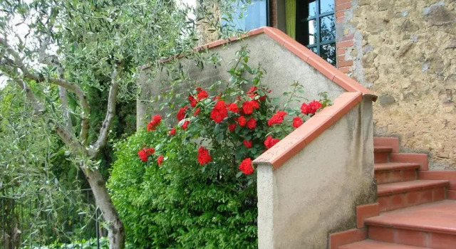 Апартаменты с 2 комнатами Podere Oliveta