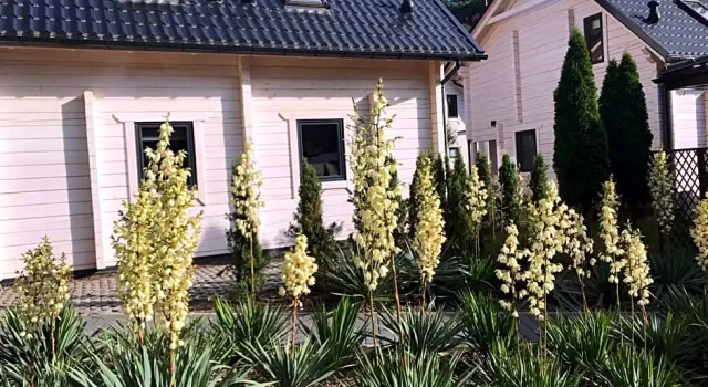 Gryf-Balt - Apartament, Prenota Hotel Międzywodzie Wolin Island