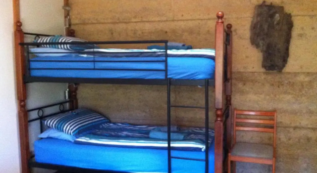 Standard Familie Zimmer Windrose B&B