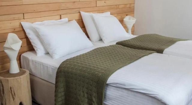 Номер Standard Hotel Palisad