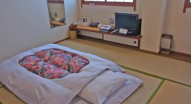Camera Standard Hotel Ohta