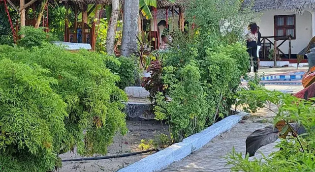 Двухместный номер Standard с балконом и с видом на сад Menai Bay Beach Bungalows