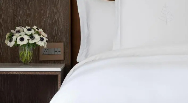 Двухместный люкс State Four Seasons Hotel Houston