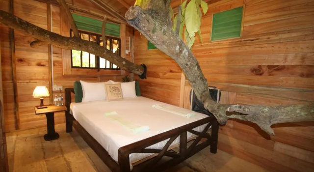 Green Park Safari House