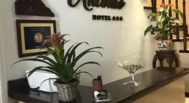 Hotel Drago San Antonio, Prenota Hotel Icod de los Vinos Tenerife