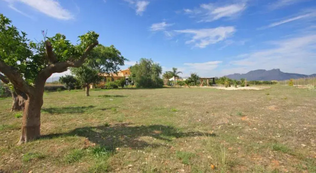 Mariposa