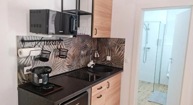Апартаменты APARTAMENT ANTIK No6 ALBA IULIA