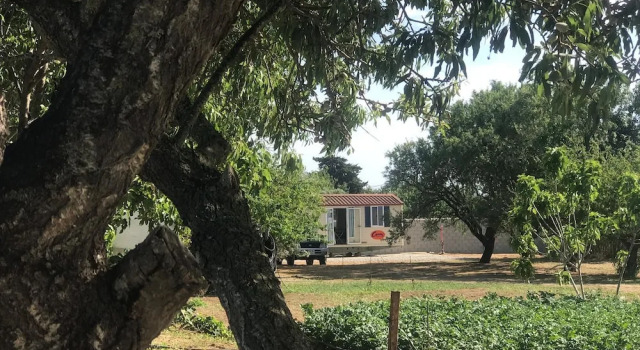 Tiny Casa - Mobile House