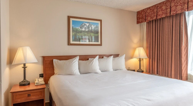Studio With 2 Kings In Base Area 1 Bedroom Condo - No Cleaning Fee! by Redawning