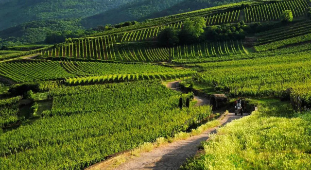 Coeur d'Alsace Colmar Vignobles Ouest, Rezervasyon Villa Colmar kır evleri, Küçük Ev
