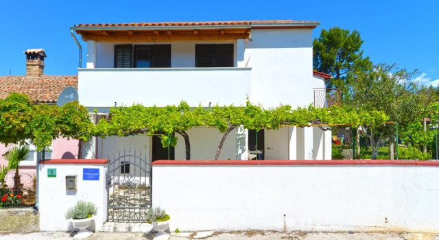 Apartment Branko 2081