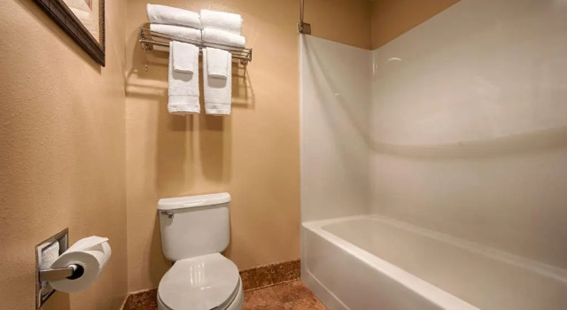 Люкс Best Western Plus Deer Park Hotel and Suites