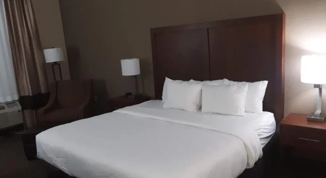Номер Standard Comfort Inn & Suites Grenada