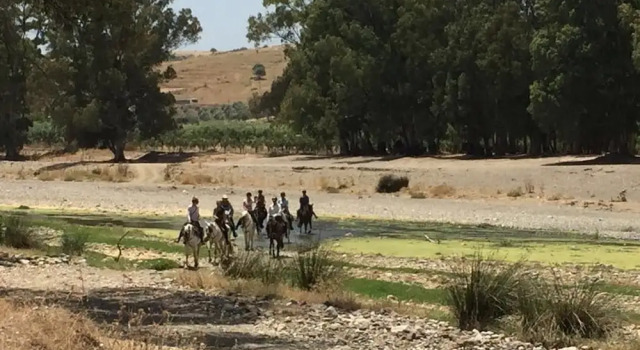 El Rancho La Paz