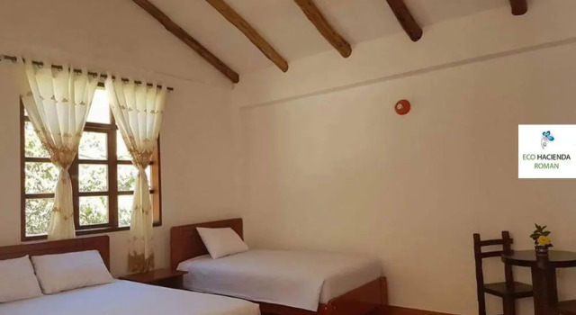 Номер Standard Eco Hacienda Roman